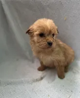 processed/de2e54da-3bb7-4e13-ac9f-4796cc0be45b/listing/4ee0dee9-463e-4ed4-ab3e-648d6e21078a/6e1e29f0-6b45-4850-b15e-5bf00f07f09e