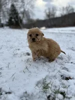 processed/de2e54da-3bb7-4e13-ac9f-4796cc0be45b/listing/4ee0dee9-463e-4ed4-ab3e-648d6e21078a/7345a129-1b18-4d2c-92f4-76d060bc09ac