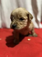 processed/de2e54da-3bb7-4e13-ac9f-4796cc0be45b/listing/4ee0dee9-463e-4ed4-ab3e-648d6e21078a/846e7c34-be36-4156-bf95-2eb7f8f3cba8