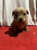 processed/de2e54da-3bb7-4e13-ac9f-4796cc0be45b/listing/4ee0dee9-463e-4ed4-ab3e-648d6e21078a/fa24bc88-922c-44bb-b7f4-a5405549db1d