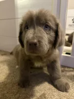 processed/de31f543-64d0-4f3b-80da-06a2e6a83077/listing/861440ff-2f0a-480f-b0b8-f079264f3cd3/658b4bee-dd90-48e0-8773-fdb16bd436f4