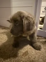 processed/de31f543-64d0-4f3b-80da-06a2e6a83077/listing/861440ff-2f0a-480f-b0b8-f079264f3cd3/e55ecc91-7906-410a-998c-ed235afeddda