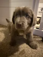 processed/de31f543-64d0-4f3b-80da-06a2e6a83077/listing/861440ff-2f0a-480f-b0b8-f079264f3cd3/f92b76d5-7cbe-483f-ae0e-01a7eb613a60