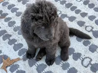 processed/de31f543-64d0-4f3b-80da-06a2e6a83077/listing/e9cb4a37-c775-47ab-88b2-ad69d526e9ae/519fc195-c5f3-41d7-b2c0-1ede75a9884f