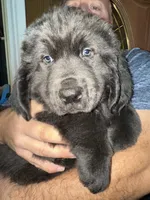 processed/de31f543-64d0-4f3b-80da-06a2e6a83077/listing/e9cb4a37-c775-47ab-88b2-ad69d526e9ae/830e6ea0-1107-45af-969b-a63c5b3d6df7