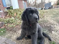 processed/de31f543-64d0-4f3b-80da-06a2e6a83077/listing/e9cb4a37-c775-47ab-88b2-ad69d526e9ae/a39be108-3301-4322-b3ad-a957aba67da9