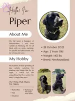 processed/de31f543-64d0-4f3b-80da-06a2e6a83077/listing/e9cb4a37-c775-47ab-88b2-ad69d526e9ae/b1b96ad4-e5d6-4f0a-8d7f-1cf3b559205a