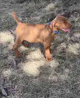 processed/de3608e8-db50-4151-8997-024dc0bde624/listing/132b71e0-4f42-4242-aa6f-5418b23b7d9a/07eef624-3d40-46b3-8e1b-4c20ca6dc973