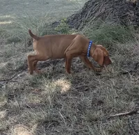 processed/de3608e8-db50-4151-8997-024dc0bde624/listing/132b71e0-4f42-4242-aa6f-5418b23b7d9a/535cbc31-9776-43d0-95fe-e9dfefa86548