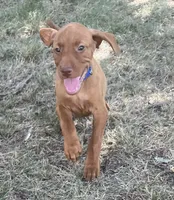 processed/de3608e8-db50-4151-8997-024dc0bde624/listing/132b71e0-4f42-4242-aa6f-5418b23b7d9a/69af7c17-9407-406e-8b9c-7b1f8b2f01a9