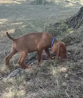 processed/de3608e8-db50-4151-8997-024dc0bde624/listing/132b71e0-4f42-4242-aa6f-5418b23b7d9a/7e6ccf46-debd-4bf5-b975-741ead3e82ba