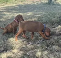 processed/de3608e8-db50-4151-8997-024dc0bde624/listing/132b71e0-4f42-4242-aa6f-5418b23b7d9a/99b5d5c5-a5b2-4497-8ac9-d2ee415fefcc