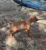 processed/de3608e8-db50-4151-8997-024dc0bde624/listing/132b71e0-4f42-4242-aa6f-5418b23b7d9a/c0e6e1d6-f9de-4ce8-83e4-330bfd1bf955