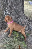 processed/de3608e8-db50-4151-8997-024dc0bde624/listing/3f6a1ac7-db3e-48fa-adf6-20890616781f/0ffedb5a-6437-4a7d-8707-6ca52e8ab553