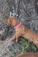 processed/de3608e8-db50-4151-8997-024dc0bde624/listing/3f6a1ac7-db3e-48fa-adf6-20890616781f/51ca23a8-2def-4a0f-92a7-cf4c3c4ab770