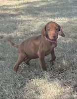 processed/de3608e8-db50-4151-8997-024dc0bde624/listing/3f6a1ac7-db3e-48fa-adf6-20890616781f/7a0b750b-8605-4261-9468-6eb0e4591bf2