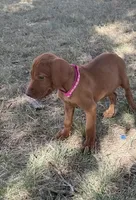 processed/de3608e8-db50-4151-8997-024dc0bde624/listing/3f6a1ac7-db3e-48fa-adf6-20890616781f/bc14f235-9352-495d-8ec7-82ba67b1ff08