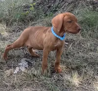 processed/de3608e8-db50-4151-8997-024dc0bde624/listing/44da4e35-f26c-46de-81c4-af16d8b87f08/3754572e-a052-4e65-99f9-6ce41794bebc