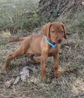 processed/de3608e8-db50-4151-8997-024dc0bde624/listing/44da4e35-f26c-46de-81c4-af16d8b87f08/49bb0efa-d89b-4518-b5a3-73f1835f25c1