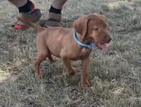 processed/de3608e8-db50-4151-8997-024dc0bde624/listing/44da4e35-f26c-46de-81c4-af16d8b87f08/80232624-ea99-4d82-8d96-d442d6ddbc71