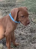 processed/de3608e8-db50-4151-8997-024dc0bde624/listing/44da4e35-f26c-46de-81c4-af16d8b87f08/eeb37ecb-34cb-41b8-8159-ae8e2143310d