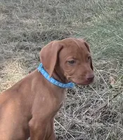 processed/de3608e8-db50-4151-8997-024dc0bde624/listing/44da4e35-f26c-46de-81c4-af16d8b87f08/fdad529d-74b7-46cc-b7b3-46f64bc73607