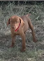 processed/de3608e8-db50-4151-8997-024dc0bde624/listing/bededa0b-6caa-4aca-8d84-555808739e3c/1e69d9be-cca3-4222-9ae9-51efd7a19d9e