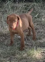 processed/de3608e8-db50-4151-8997-024dc0bde624/listing/bededa0b-6caa-4aca-8d84-555808739e3c/5b2a0e51-77e1-4008-8cb4-2da6d9fabfdf