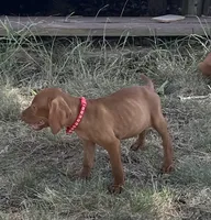 processed/de3608e8-db50-4151-8997-024dc0bde624/listing/bededa0b-6caa-4aca-8d84-555808739e3c/7a84dfc0-e7f1-4155-82db-0c63d5b9a088