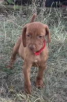 processed/de3608e8-db50-4151-8997-024dc0bde624/listing/bededa0b-6caa-4aca-8d84-555808739e3c/93ed5e40-55ae-4f7e-b7f1-a1dcf5568117