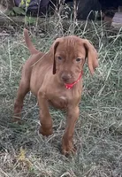 processed/de3608e8-db50-4151-8997-024dc0bde624/listing/bededa0b-6caa-4aca-8d84-555808739e3c/97024603-3801-456a-8d3b-fd646f4797f3