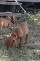 processed/de3608e8-db50-4151-8997-024dc0bde624/listing/bededa0b-6caa-4aca-8d84-555808739e3c/e3d02ae2-f230-4119-a54a-8d76c69e1a81