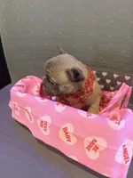 processed/de3cf503-0e1f-4482-b658-841e984fece2/listing/52343c16-1259-4672-8a07-ddbe60e63fd8/8cd0c513-a060-479c-a273-db87c883ff37