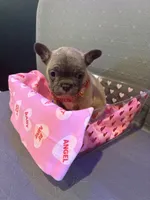 processed/de3cf503-0e1f-4482-b658-841e984fece2/listing/52343c16-1259-4672-8a07-ddbe60e63fd8/9f701da2-b212-4ef3-85a8-ef4a23aaec05