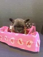 processed/de3cf503-0e1f-4482-b658-841e984fece2/listing/52343c16-1259-4672-8a07-ddbe60e63fd8/cb225e41-96e8-4b62-a4b9-0afa98ebc589