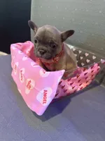 processed/de3cf503-0e1f-4482-b658-841e984fece2/listing/e1145fb3-427c-43cc-a9d4-71c95c40ce69/1a8ef17a-8b1e-486d-8741-c5d2cc24e450