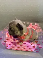 processed/de3cf503-0e1f-4482-b658-841e984fece2/listing/e1145fb3-427c-43cc-a9d4-71c95c40ce69/3198cd40-a6bb-4847-ac81-7140f806112f