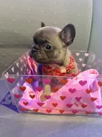 processed/de3cf503-0e1f-4482-b658-841e984fece2/listing/e1145fb3-427c-43cc-a9d4-71c95c40ce69/b5906eea-e4d7-4eb4-86bf-cc024bf77983