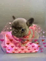 processed/de3cf503-0e1f-4482-b658-841e984fece2/listing/e1145fb3-427c-43cc-a9d4-71c95c40ce69/e3a2b056-49b0-4f6d-b896-37f3d5f5e23a