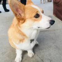 processed/de49bf1c-7a2c-478e-b40e-fb28dd7b54e4/facility/0cb5fc6c-d66c-4851-af57-d159bc29248a