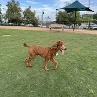 processed/de49bf1c-7a2c-478e-b40e-fb28dd7b54e4/facility/28c7ec04-b3de-4173-bbff-9b48f8a9bb15