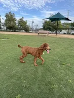 processed/de49bf1c-7a2c-478e-b40e-fb28dd7b54e4/facility/28c7ec04-b3de-4173-bbff-9b48f8a9bb15