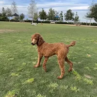 processed/de49bf1c-7a2c-478e-b40e-fb28dd7b54e4/facility/48ce748f-3534-4e3d-835c-431c26a53594