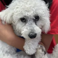 processed/de49bf1c-7a2c-478e-b40e-fb28dd7b54e4/facility/711cbbd8-d385-4dfa-9241-99ab062adae6