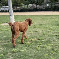 processed/de49bf1c-7a2c-478e-b40e-fb28dd7b54e4/facility/8c079e0f-33c3-4fab-9798-2fab78d455a1