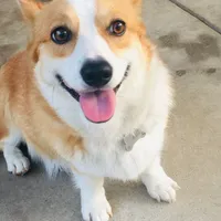 processed/de49bf1c-7a2c-478e-b40e-fb28dd7b54e4/facility/a903474a-7e79-46cf-84b6-4c754a6b5f85