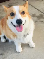 processed/de49bf1c-7a2c-478e-b40e-fb28dd7b54e4/facility/a903474a-7e79-46cf-84b6-4c754a6b5f85