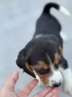 processed/de49bf1c-7a2c-478e-b40e-fb28dd7b54e4/listing/23b19d35-9aeb-4795-a6c7-e81a989a0095/0061d39f-4f35-4c99-8185-2d3903830d5f