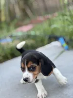 processed/de49bf1c-7a2c-478e-b40e-fb28dd7b54e4/listing/23b19d35-9aeb-4795-a6c7-e81a989a0095/38c4a917-d3aa-40a2-9098-84e1c5b18876