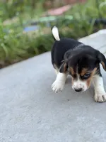 processed/de49bf1c-7a2c-478e-b40e-fb28dd7b54e4/listing/23b19d35-9aeb-4795-a6c7-e81a989a0095/50acfa93-cd5e-4fb7-90c9-e80afe56eca0